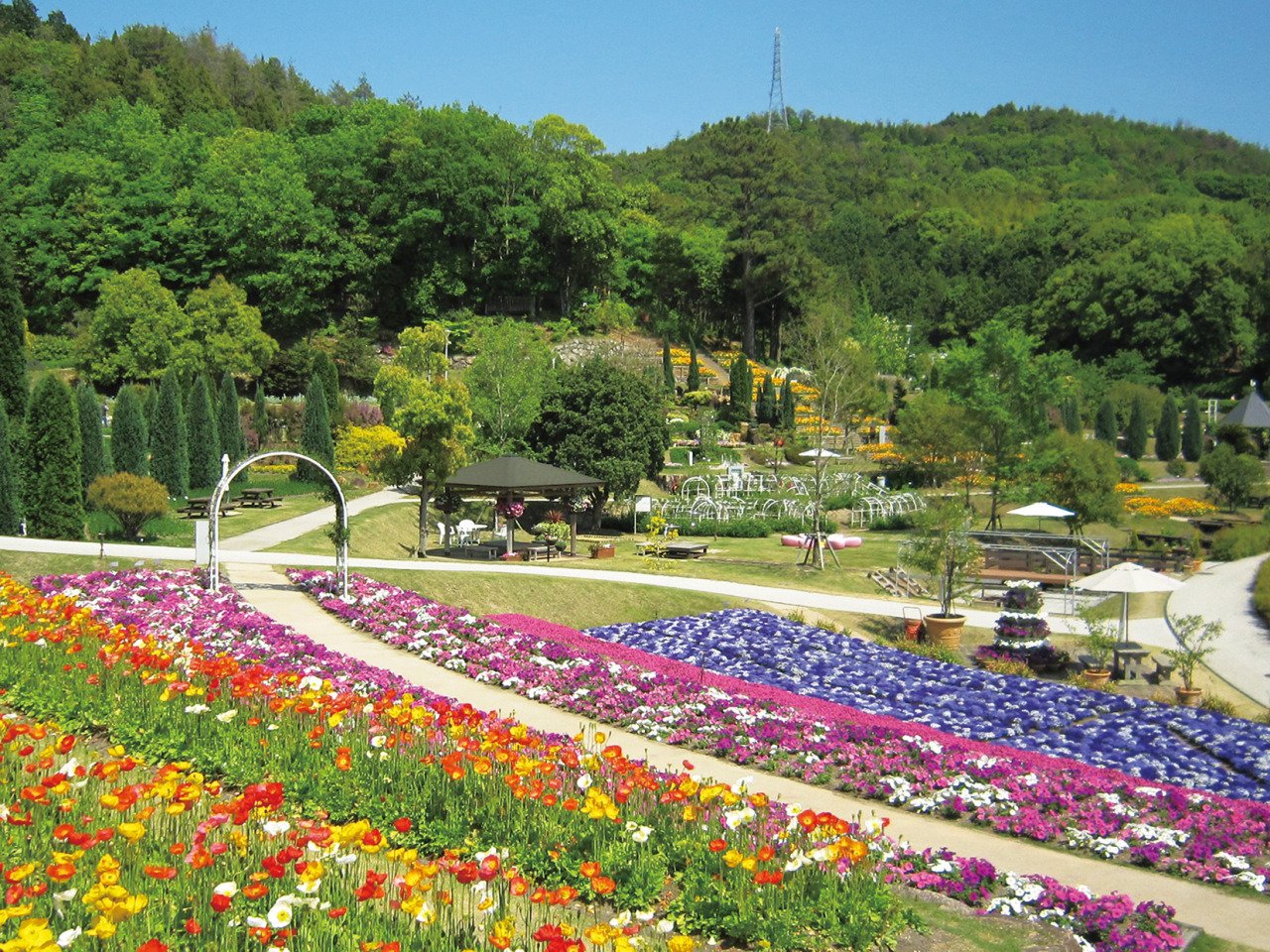 🌸 야마구치 플라워 랜드 이미지 1